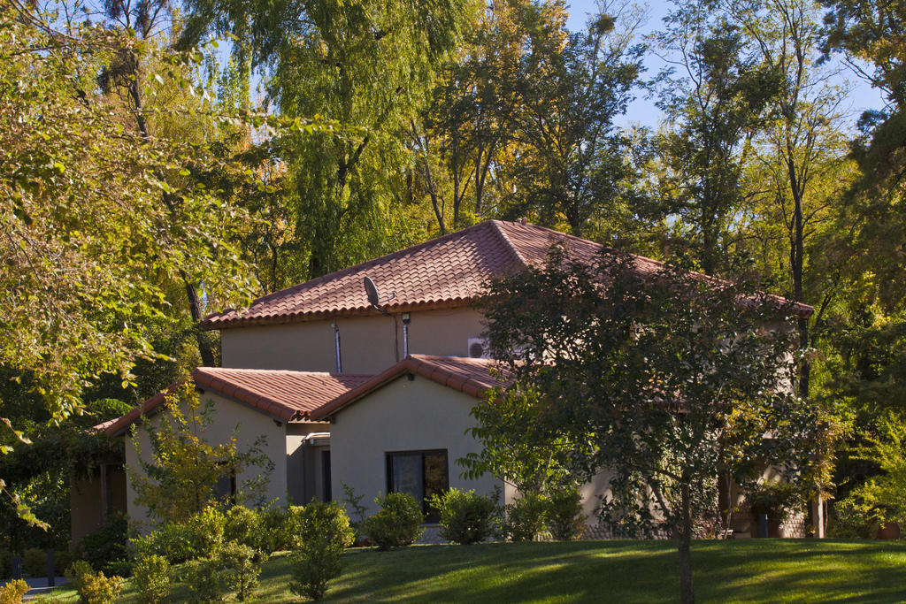 Posada Salentein Los Arboles Bilik gambar