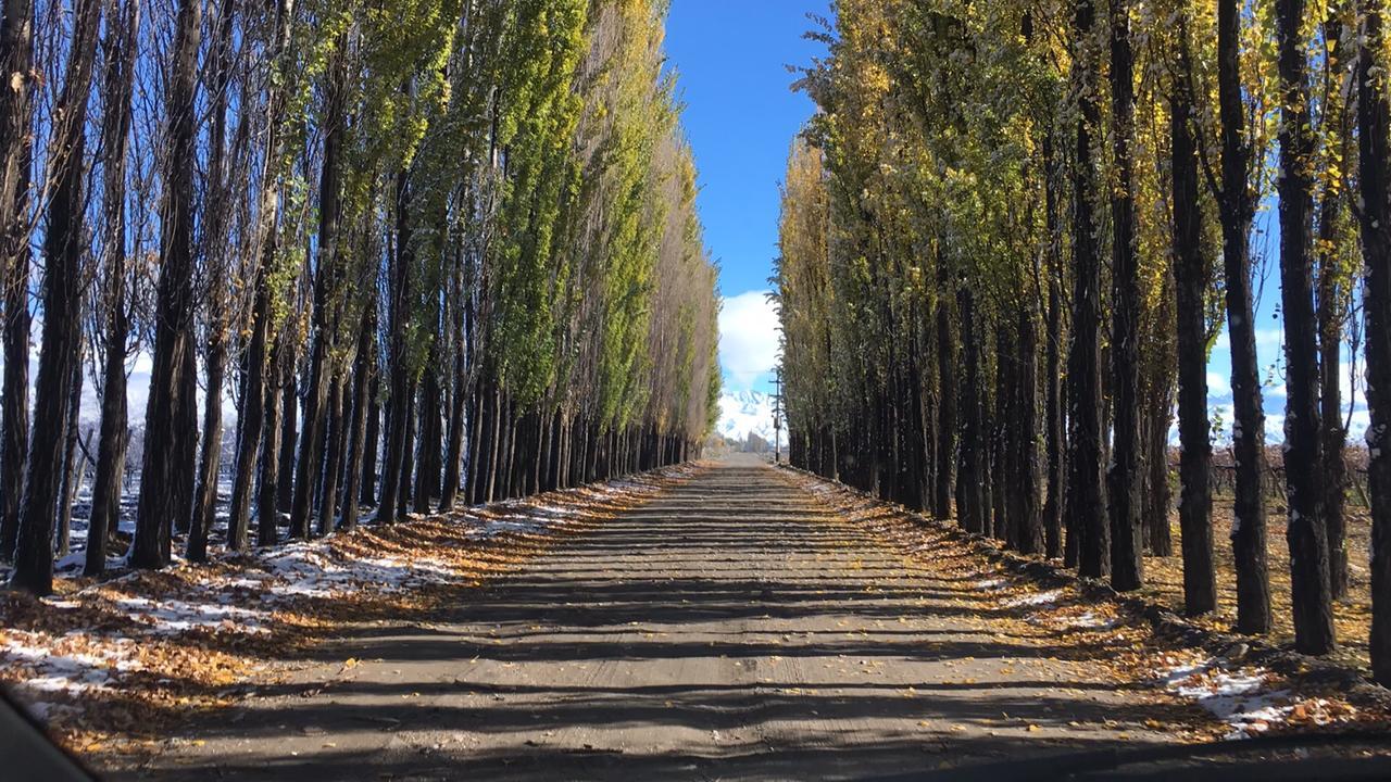 Posada Salentein Los Arboles Luaran gambar